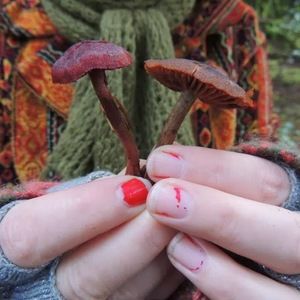 Meet your Posher, Alissa